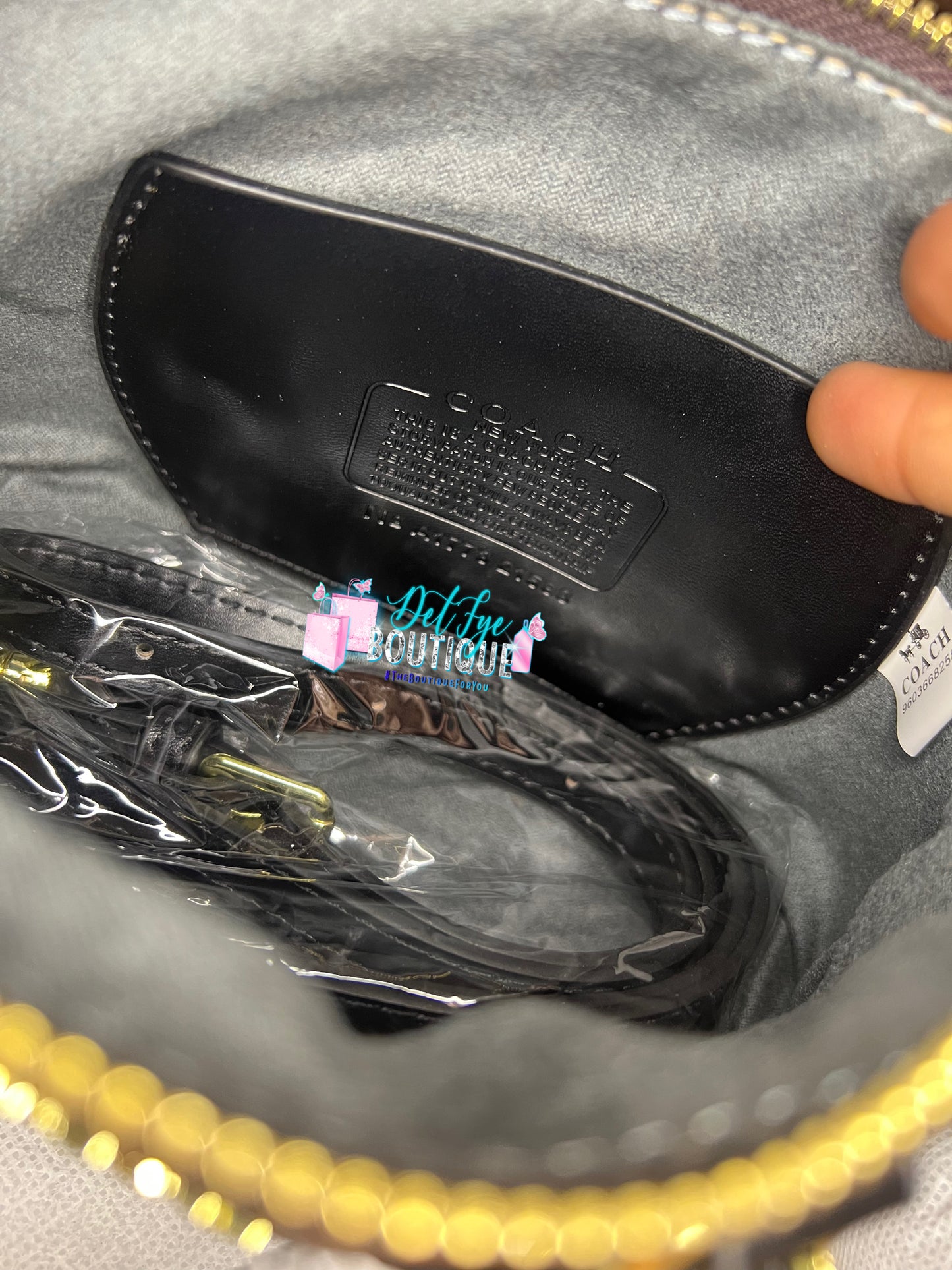 π€ Coach Cocoa Cutie