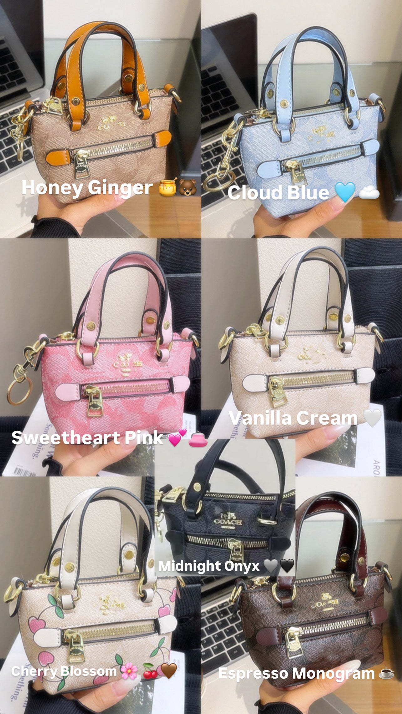 Coach Mini Rowan Satchel
Bag Charms.