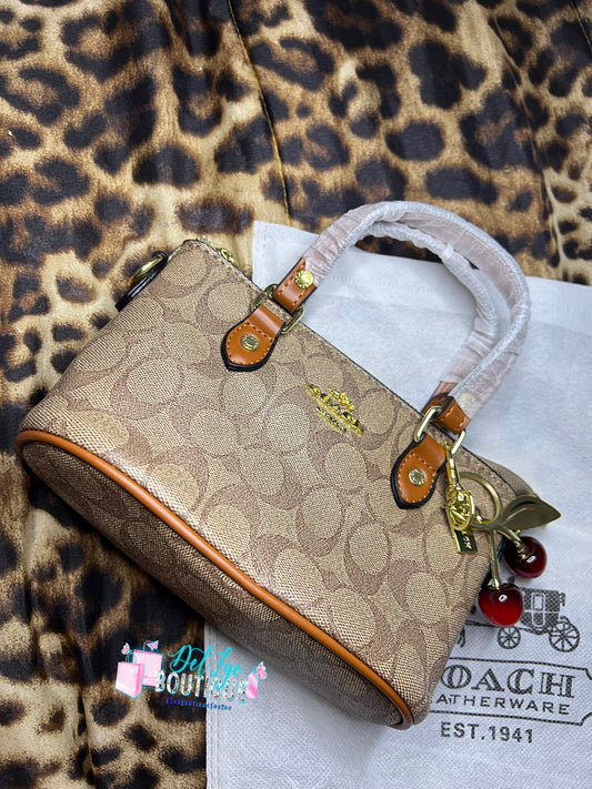 🤎✨ Brownie Bite Coach