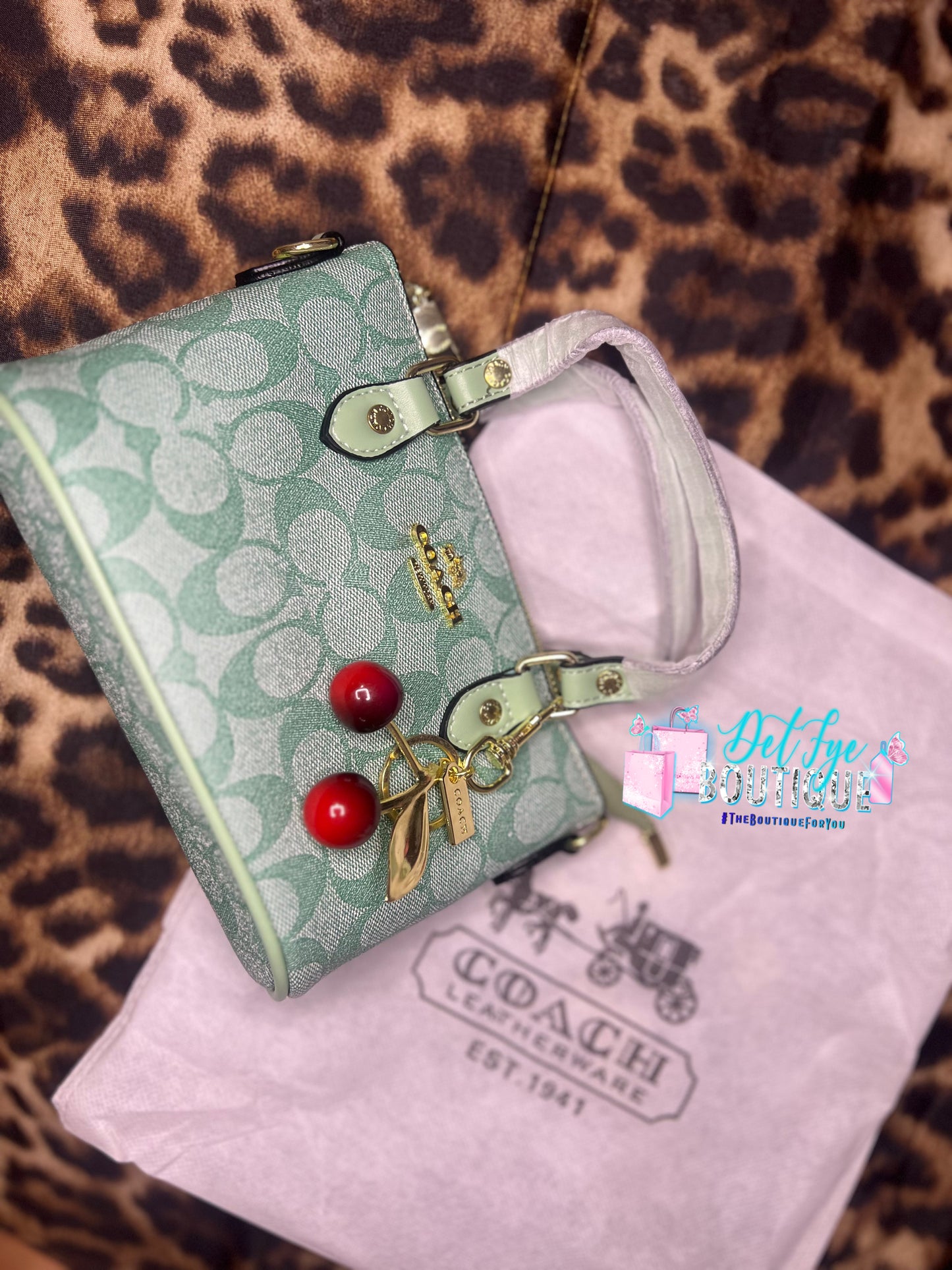 💙 Blue Mist Coach